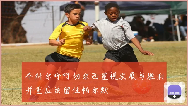 乔科尔呼吁切尔西重视发展与胜利并重应该留住帕尔默